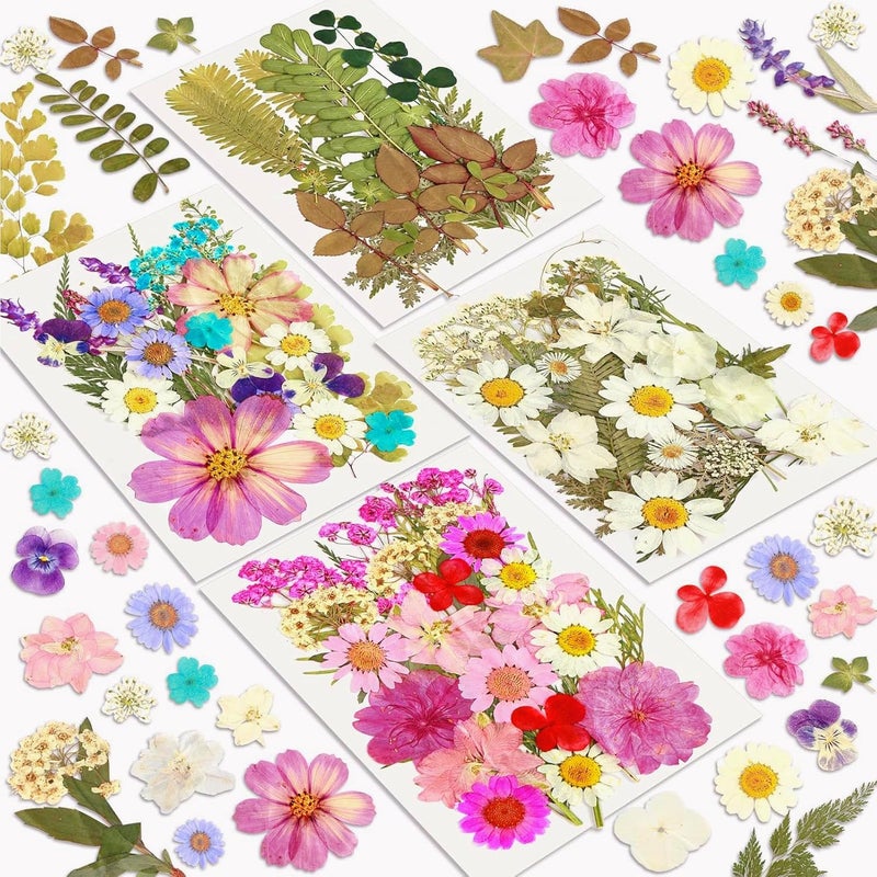 Resiners Dried Flowers, Resiners 100Pcs Pressed Flowers for Craft Purple Real Natural Dried Flowers Dry Leaves Kit for DIY Making Crafts Resin Soap Candle Scrapbook Supplies Card Making Jewelry - Image 1
