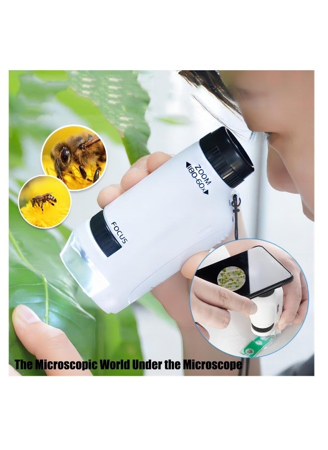 Generic - Mini Microscope for Kids, Portable Handheld Microscope for Kids, Supports Multiple Switching Magnifications, with 12pcs Microscope Slides, for Learning, Education and Exploring - Image 1