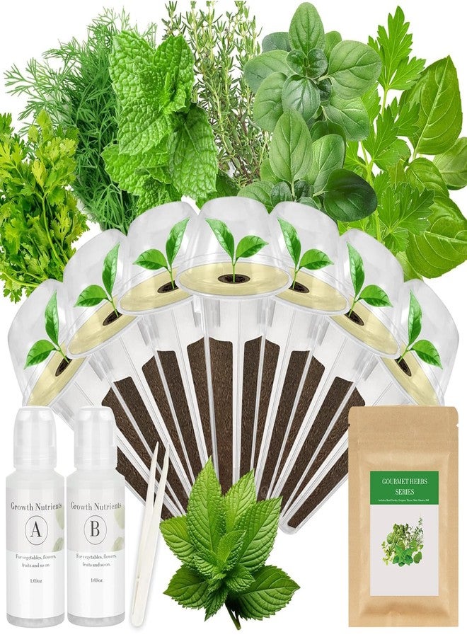 مجموعة كبسولات بذور الأعشاب الفاخرة لأجهزة AeroGarden و idoo و Ahopegarden و MUFGA مع الريحان والبقدونس والزعتر والنعناع والكزبرة والشبت والأوريجانو - متوافقة مع جميع أنظمة الزراعة المائية (7 كبسولات) - Image 1