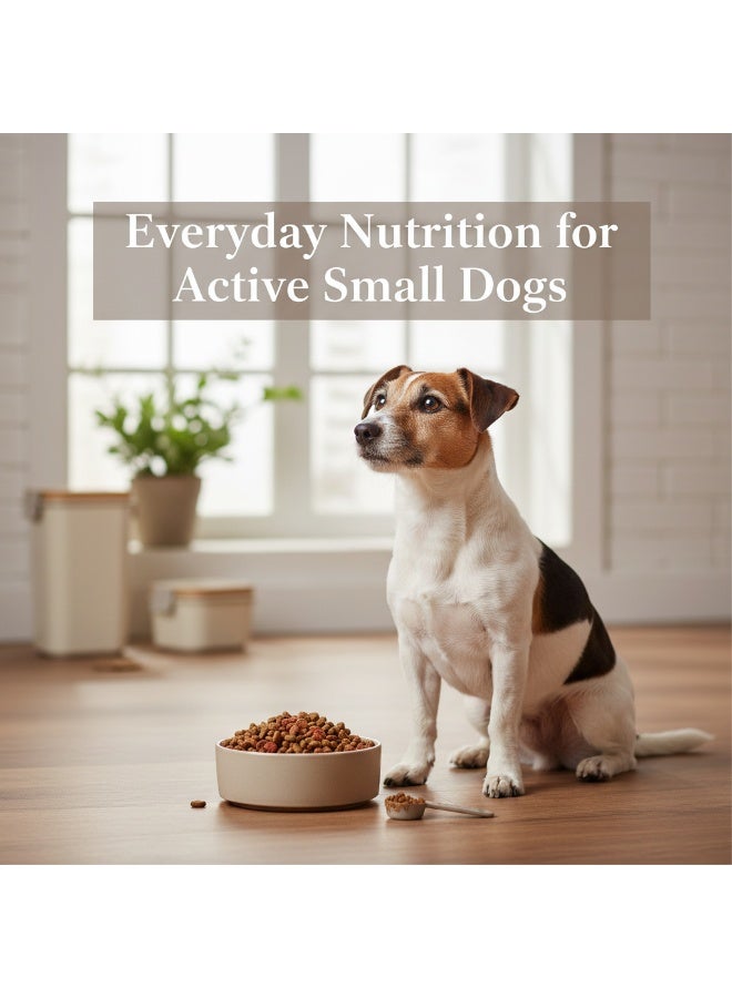 Winner Plus Super Premium Adult Mini | Premium Nutrition | All Small Dogs Breeds 3 Kg - Image 4