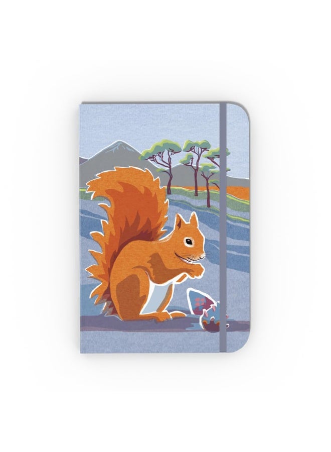 Nature Notebook: Red Squirrel  - Image 2