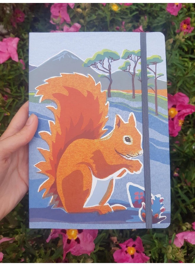 Nature Notebook: Red Squirrel  - Image 3