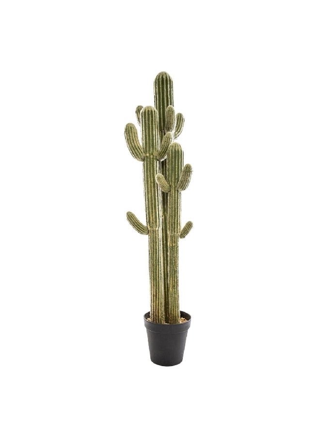 atmosphera Realistic 3-Trunk Artificial Cactus Plant with Pot Light Green 148 cm 168633  - Image 1