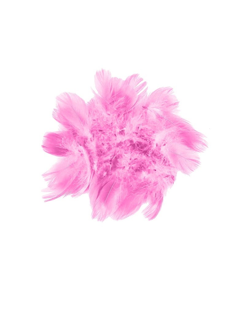 PARTY FUN Feather Confetti - 5g Pretty Pink Color Elevate Your Celebrations with Delicate Charm  - Image 1
