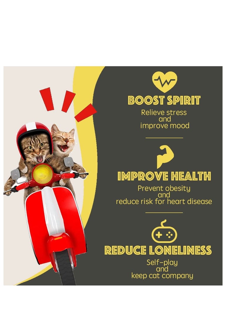 Barakah Hanging Cat Toy with Catnip Balls/Silvervine Gall Fruit for Teeth Cleaning, 4PCS Self-Play Retractable Cat Teaser Toy, Interactive Cat Toy for Indoor Cats… - Image 5