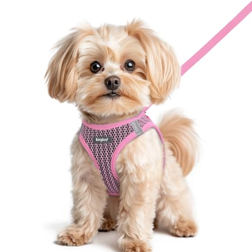 Eagloo Small Dog Harness and Leash Set, Step in Puppy Vest with Breathable Soft Mesh, Walking Reflective Pet Harness for Small Dogs, Pink, XS - Image 1