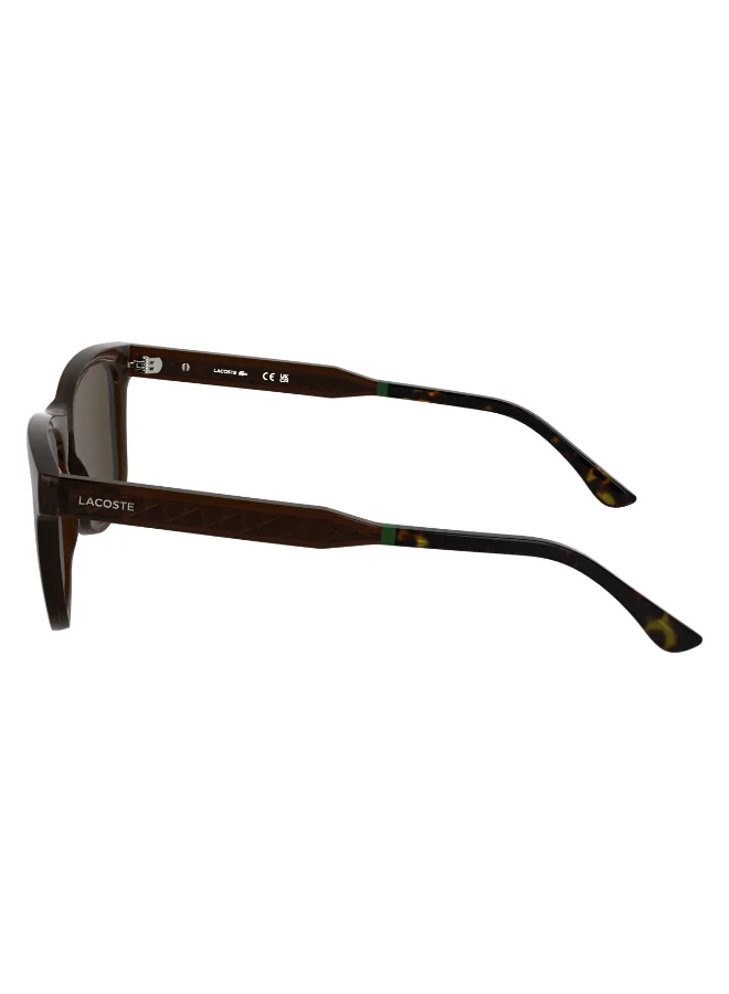 LACOSTE FULL RIM INJECTEDLACOSTE SUN L6060S N