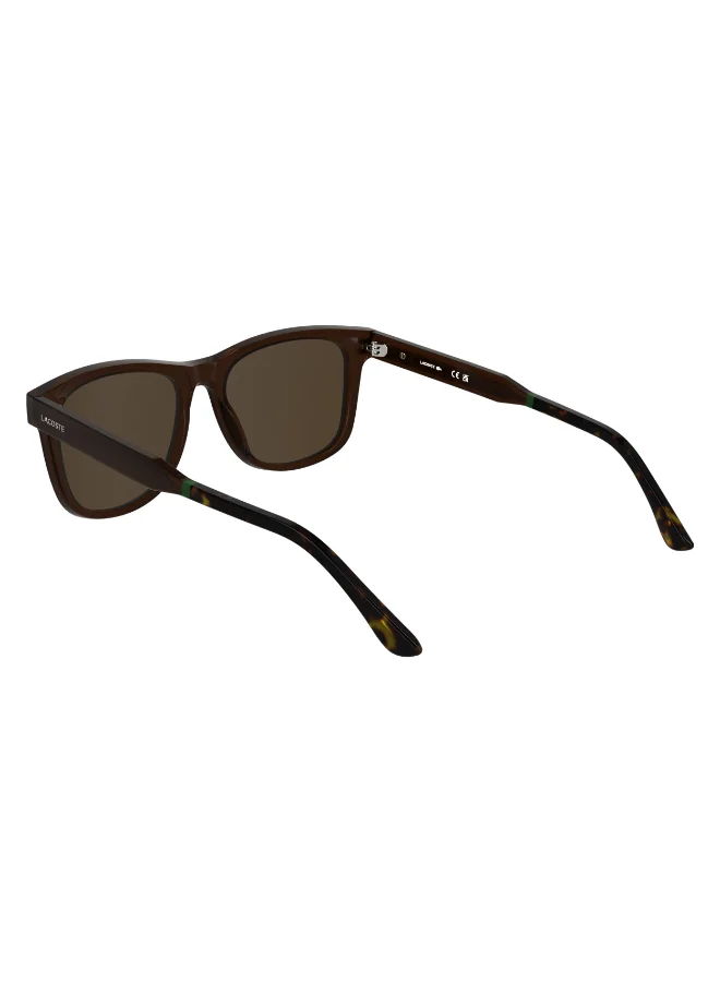LACOSTE FULL RIM INJECTEDLACOSTE SUN L6060S N