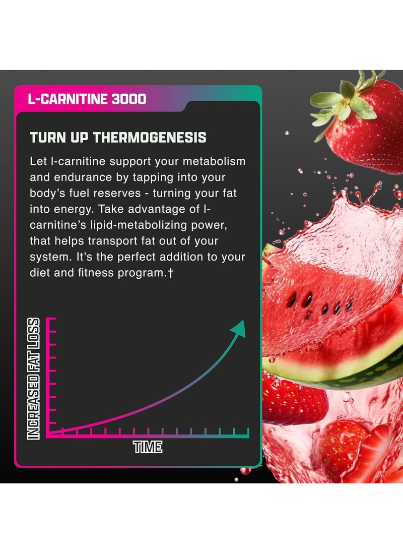 Nutrex Research Nutrex Liq-Carnitine 3000 Strawberry Watermelon 15.72 FL OZ (465ML) - Image 5