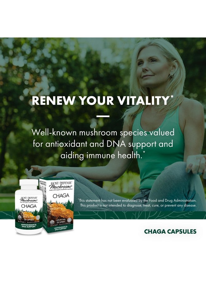 Host Defense Chaga Capsules - Immune System Support Supplement - Chaga Mushroom Capsules for Antioxidant Activity Support - Dietary Mushroom Supplement - 120 Capsules (60 Servings)* - Image 3