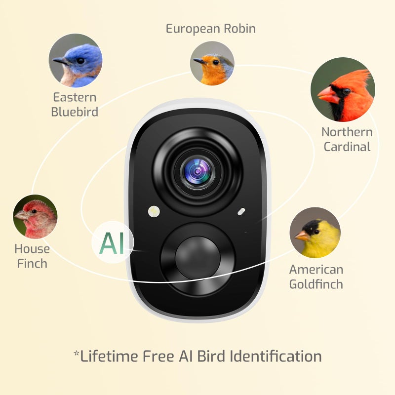 Richbird Smart Bird Feeder with Camera, 2.5K Ultra-HD Live Stream Bird House Camera, Free AI Identify Bird Species, Solar Powered Bird Feeder with 2.4L Large Capacity, Ideal Gift for Bird Lovers - Image 3