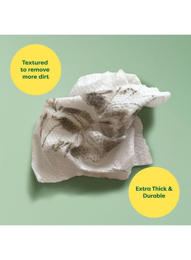 إيرث ريتد مناديل العناية بالكلاب من Earth Rated، مضادة للحساسية، تنظيف وترطيب، للكفوف والجسم والأرداف، برائحة اللافندر، 100 منديل - Image 4