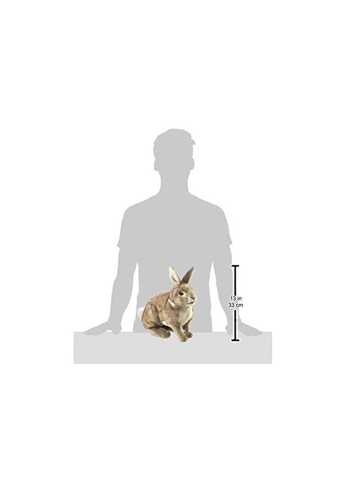 Folkmanis Cottontail Rabbit Hand Puppet - 15 Inches Soft Plush Toy - Image 5