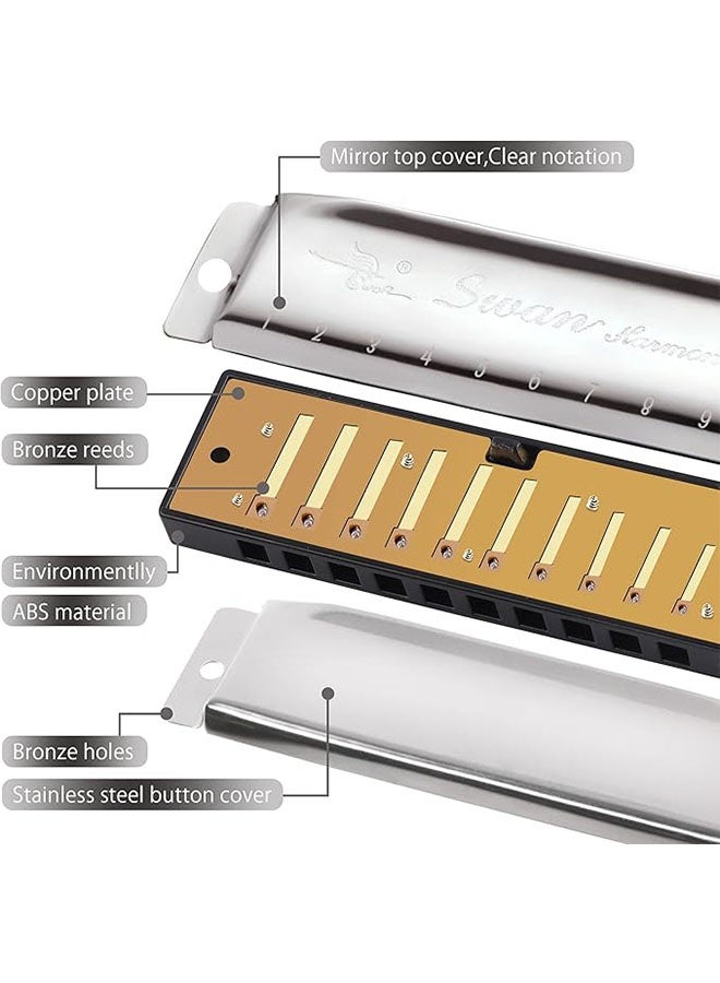 Swan 10 Hole C Blues Harmonica for Kids Adults, Beginner Diatonic Metal Blues Harp, Easy To Play Instrument, Mouth Organ in Case, Silver - Image 4