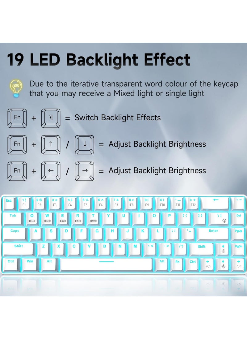 INFOSUN - INFOSUN 65% Wireless Mechanical Gaming Keyboard, Triple Mode BT5.0/2.4G/Type-C Blue LED Backlit Quick Response Waterproof 68 Keys Keyboard for Windows/MacOS/Android PC Gamers, Blue Switch/White - Image 1