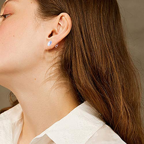 Waybas 1200 PCS 5MM Hypoallergenic Stainless Steel Earrings Posts Flat Pad Blank Earring Pin Studs with Butterfly Earring Backs and Silicone Bullet Earring Backs for Jewelry Making Findings - Image 4