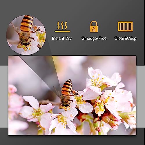 A-SUB Premium Photo Paper Luster 8.5x11 Inch 66lb for Inkjet Printers 50 Sheets, Single Sided - Image 3