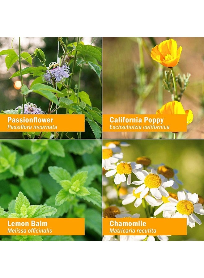 HERB PHARM Kids Fast Asleep - Tasty, Organic, Alcohol-Free Kids Sleep Support Herbal Extract With Lemon Balm, California Poppy & Passionflower, Soothes Nap & Nighttime Transitions, Vegan, 1 Oz - Image 3