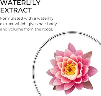 Phyto بلسم فايطو فوليوم لتكثيف الشعر 175 مل - Image 3