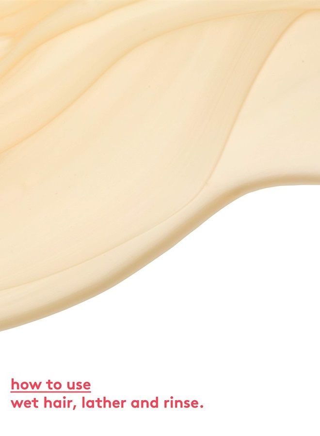 EVO Ritual Salvation Repairing Shampoo - Gently Cleanses, Treats Damaged & Brittle Hair & Protects Color - 300ml / 10.1fl.oz - Image 3