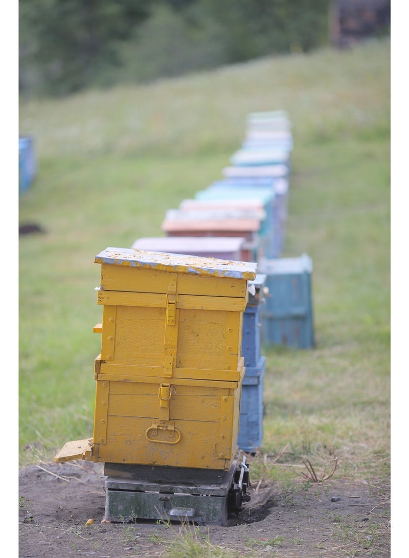 Honey am Natural Mountain Honey, Pure Sweet Honey with a Rich and Distinctive Flavor, Perfect for Tea, Breakfast, Desserts, Baking and Everyday Use. - Image 5