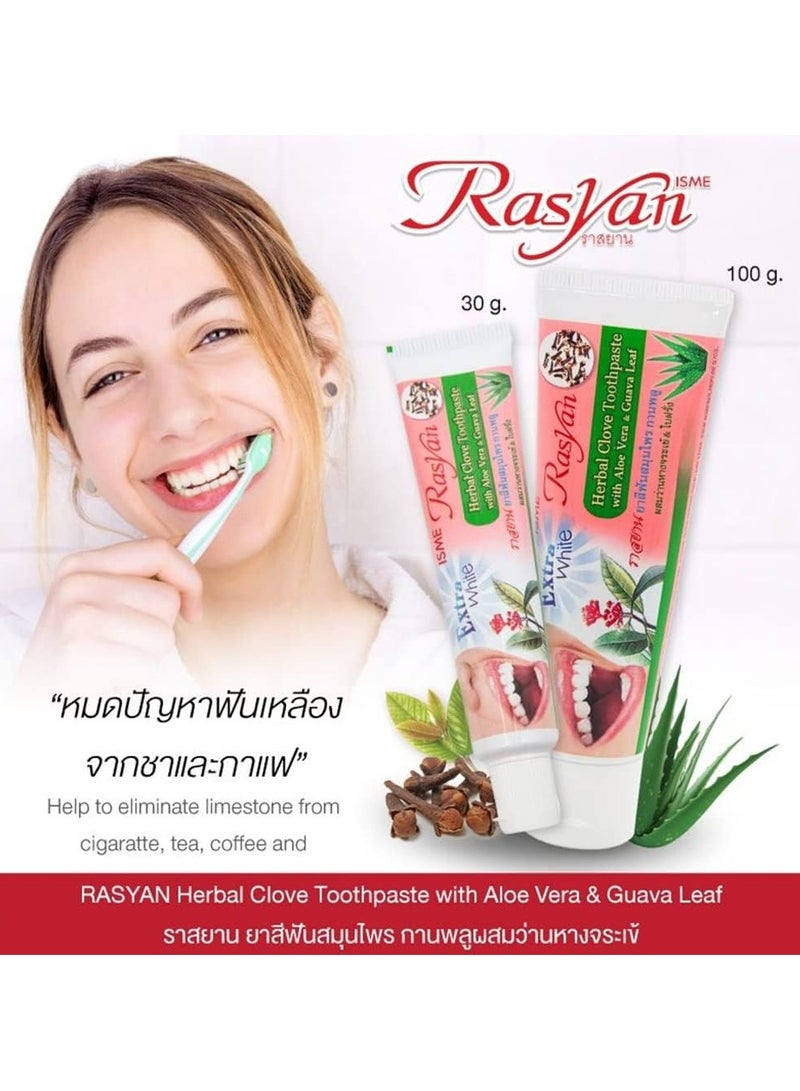Rasyan ISME Natural Herbal Clove Toothpaste 100 g with Aloe Vera & Guava Leaf Whitening Bad Breath Decay Fluoride Free Toothpaste, Pack of 1 - Image 2