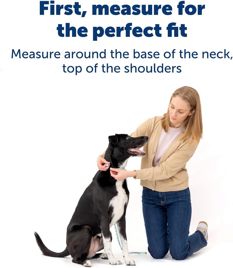 PetSafe Comfort Dog Collar Adjustable Fit for Small, Medium and Large Dog Breeds Reflective Stitching Padded Materials Built-in D-Ring Large, Blue - Image 4