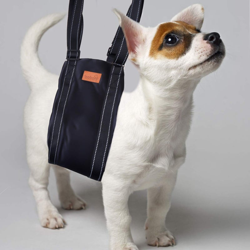 LOOBANI Portable Dog Sling for Back Legs, Hip Support Harness to Help Lift Dogs Rear for Canine Aid and Old K9 Cruciate Ligament Rehabilitation - Image 5