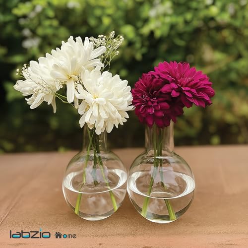 LABZIO 500ml Glass Boiling Flask Flower Vase Set of 2 | Transparent Decorative Vases for Home, Office, Living Room, Tabletop, Centerpiece, Hydroponics & Indoor Plant Decoration - Image 4