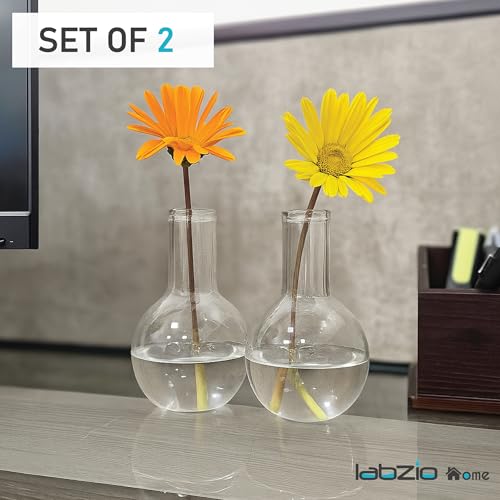 LABZIO 500ml Glass Boiling Flask Flower Vase Set of 2 | Transparent Decorative Vases for Home, Office, Living Room, Tabletop, Centerpiece, Hydroponics & Indoor Plant Decoration - Image 3