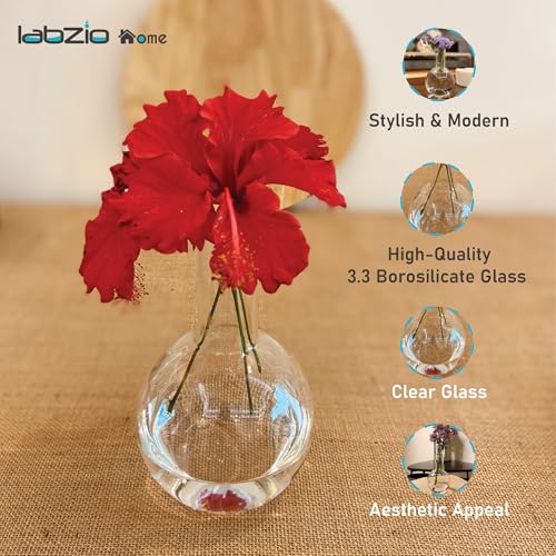 LABZIO 500ml Glass Boiling Flask Flower Vase Set of 2 | Transparent Decorative Vases for Home, Office, Living Room, Tabletop, Centerpiece, Hydroponics & Indoor Plant Decoration - Image 5