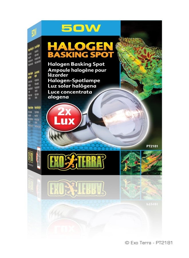 Exo Terra Sun Glo Halogen Basking Spot Lamp - 50W Reptile Light Bulb, Broad Spectrum Daylight, Enhances Coloration, Promotes Health, PT2181 - Image 2