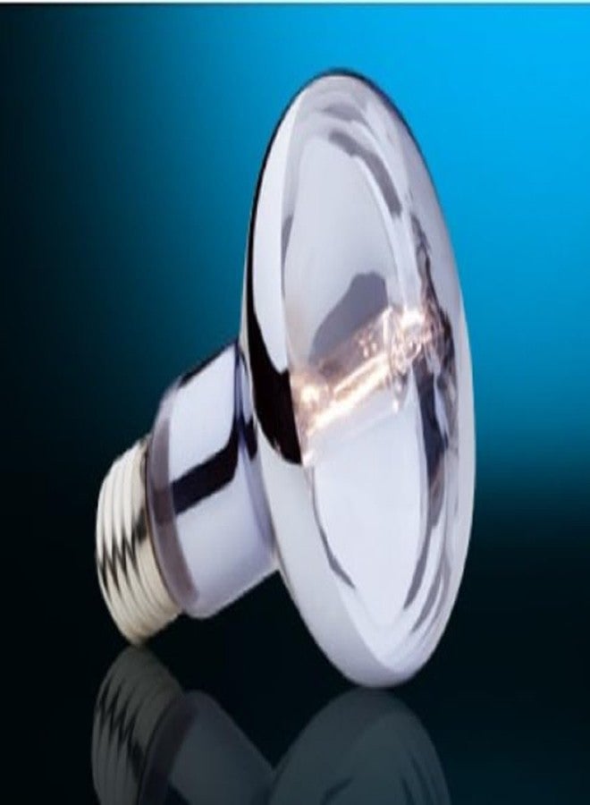 Exo Terra Sun Glo Halogen Basking Spot Lamp - 50W Reptile Light Bulb, Broad Spectrum Daylight, Enhances Coloration, Promotes Health, PT2181 - Image 5