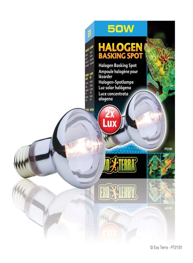 Exo Terra Sun Glo Halogen Basking Spot Lamp - 50W Reptile Light Bulb, Broad Spectrum Daylight, Enhances Coloration, Promotes Health, PT2181 - Image 1