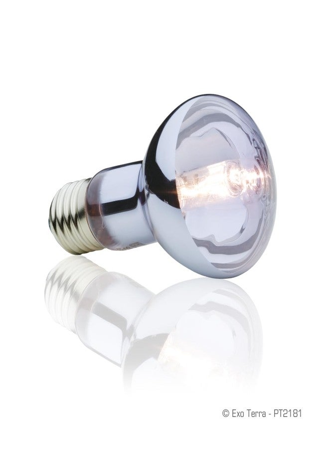 Exo Terra Sun Glo Halogen Basking Spot Lamp - 50W Reptile Light Bulb, Broad Spectrum Daylight, Enhances Coloration, Promotes Health, PT2181 - Image 3