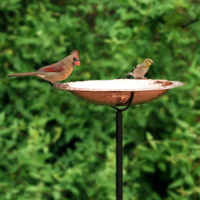 Good Directions Polished Copper Bird Bath on Garden Pole 13" - Image 4