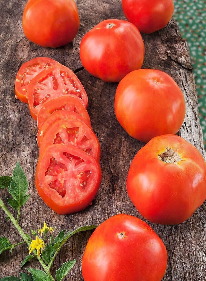 GGOOT Tomato Rutgers (Lycopersicon lycopersicum) 100PCS Seeds for Planting, Open Pollinated, Heirloom, Non GMO, Vegetable Garden, Heirloom Slicer, Rutgers NJAES, 'Ramapo' Tomatoes, Jersey Tomato - Image 1