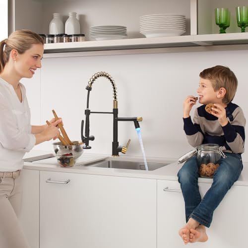 Fapully LED Kitchen Faucet with Pull Down Sprayer,Black&Gold Commercial Kitchen Faucet for Kitchen Sink - Image 3