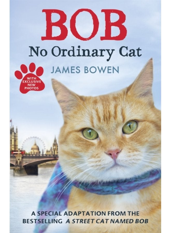 Bob No Ordinary Cat - Paperback