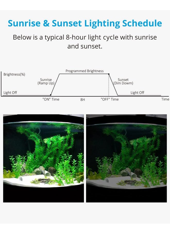 Aquarium Light Timer&Dimmer, Easy To Program Single Channel Fish Tank Light Controller - pzsku/ZBB572C7956D5BD7E562DZ/45/_/1726219849/b16e8f57-ab42-4afc-8cc7-1f7622f8c835