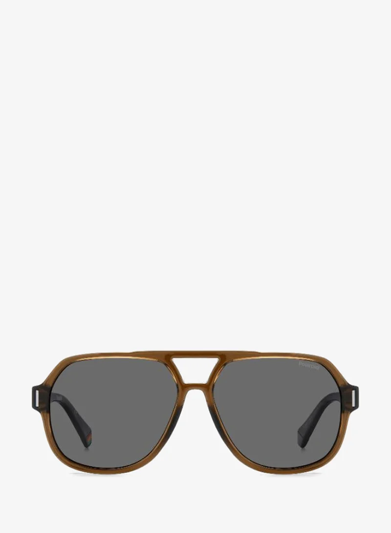 Wayfarers Sunglasses