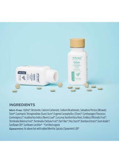 drTung's DrTung's Herbal Toothpaste Tablets - Fluoride Free Toothpaste Tabs, Travel Size Toothpowder Tabs, TSA Compliant, Toothpowder Tabs, Vegan, Non-GMO, Chewable Tablets - Mint-Free (100 Tabs)  - Image 2