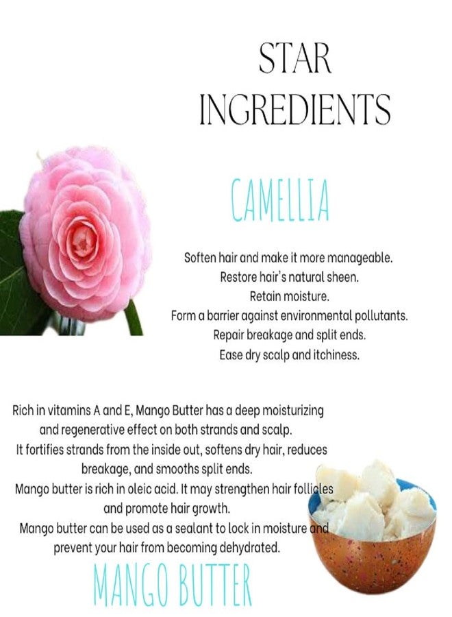 EcoBerry Camellia Mango Butter Leave In Conditioning Balm | Dry & Frizzy Hair, Organic | Free From Silicone, Paraben, Chemical, Cruelty, Mineral Oil, Preservative, Veg - Image 3