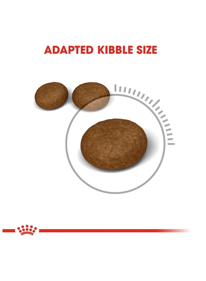 رويال كانين العناية بالشعر والبشرة طعام جاف للقطط البالغة 400 جم - Image 2