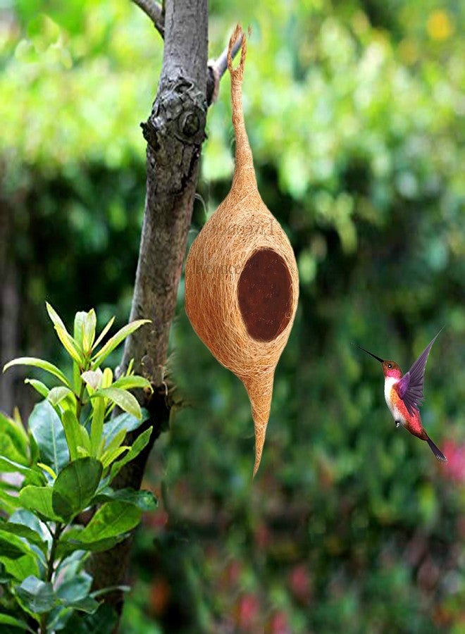 LIVEONCE Safest Round Organic Bird nest Purely Handmade Sparrow/Small Birds, Material Type -Coir,Color -Brown, Size (H 25 cm,Diameter 15 cm), Set of 2 - Image 4