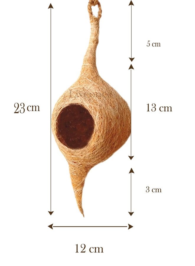 LIVEONCE Safest Round Organic Bird nest Purely Handmade Sparrow/Small Birds, Material Type -Coir,Color -Brown, Size (H 25 cm,Diameter 15 cm), Set of 2 - Image 3