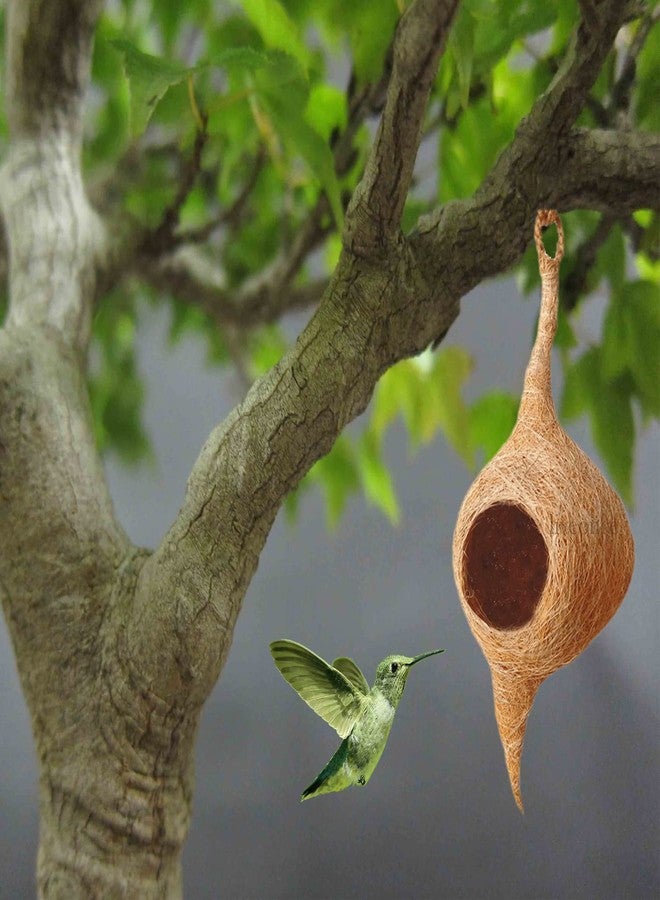 LIVEONCE Safest Round Organic Bird nest Purely Handmade Sparrow/Small Birds, Material Type -Coir,Color -Brown, Size (H 25 cm,Diameter 15 cm), Set of 2 - Image 5