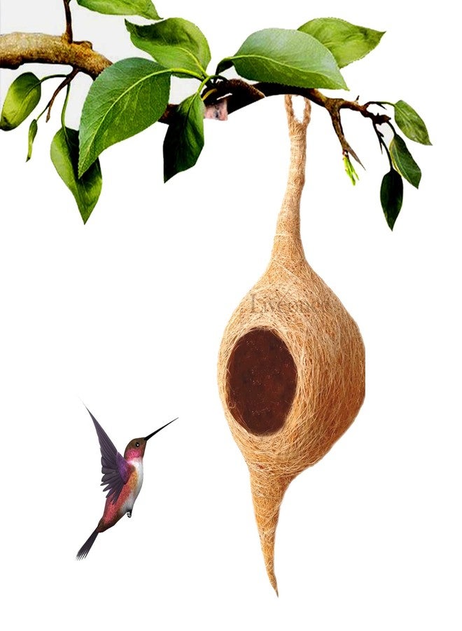 LIVEONCE Safest Round Organic Bird nest Purely Handmade Sparrow/Small Birds, Material Type -Coir,Color -Brown, Size (H 25 cm,Diameter 15 cm), Set of 2 - Image 2