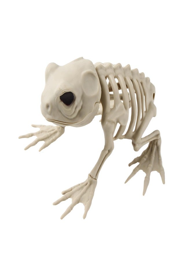 Ximimark 1pcs Spooky Skeleton Frog Halloween Decor - Perfect for Yard & Home, Party & Dance Props, No Power Needed - Image 1