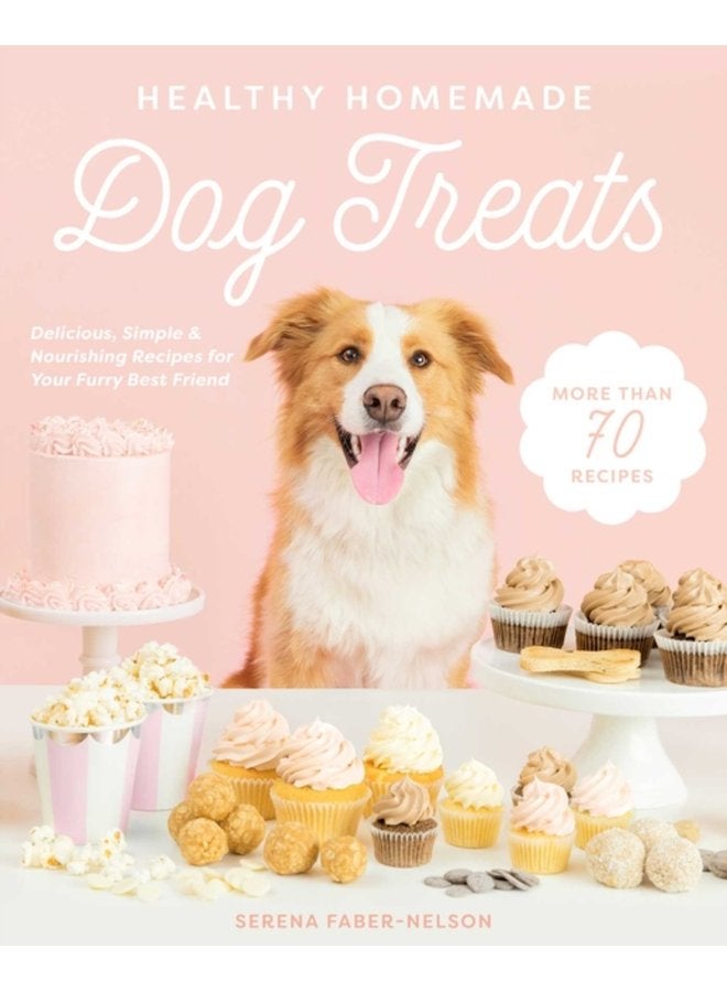Healthy Homemade Dog Treats More than 70 Simple Delicious Treats for Your Furry Best Friend - Hardback